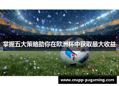 掌握五大策略助你在欧洲杯中获取最大收益