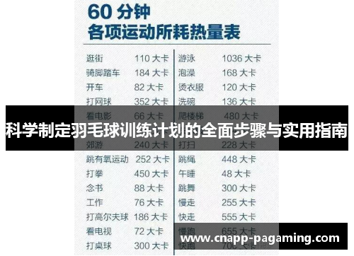 科学制定羽毛球训练计划的全面步骤与实用指南