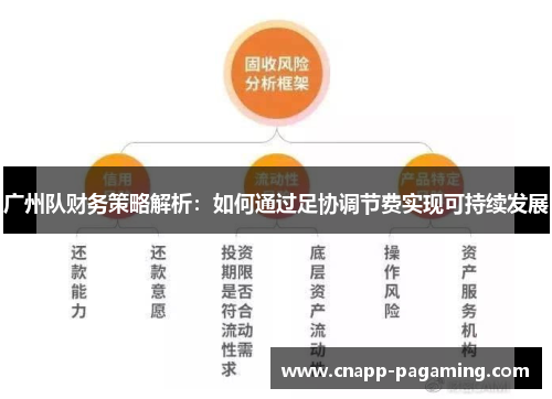 广州队财务策略解析:如何通过足协调节费实现可持续发展