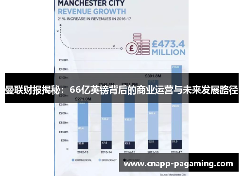 曼联财报揭秘:66亿英镑背后的商业运营与未来发展路径