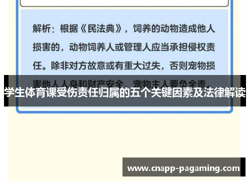 学生体育课受伤责任归属的五个关键因素及法律解读
