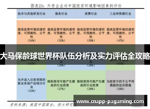 大马保龄球世界杯队伍分析及实力评估全攻略