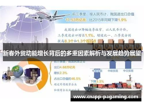 新春外贸动能增长背后的多重因素解析与发展趋势展望