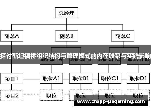 探讨斯坦福桥组织结构与管理模式的内在联系与实践影响