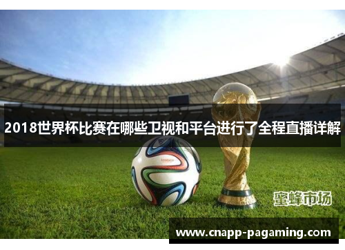 2018世界杯比赛在哪些卫视和平台进行了全程直播详解