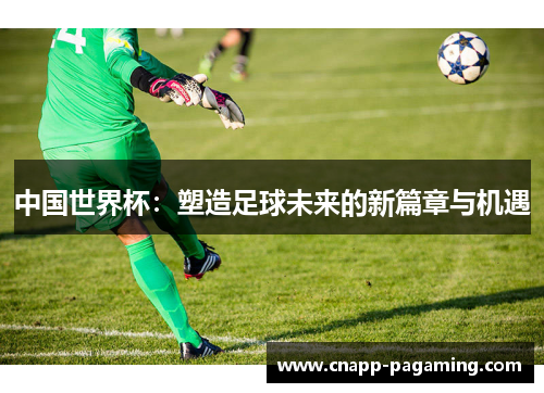 中国世界杯：塑造足球未来的新篇章与机遇