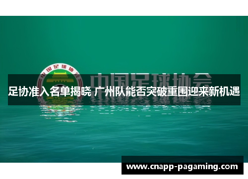 足协准入名单揭晓 广州队能否突破重围迎来新机遇