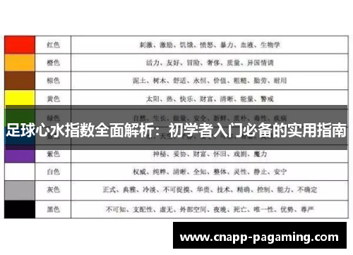 足球心水指数全面解析：初学者入门必备的实用指南