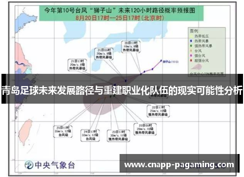 青岛足球未来发展路径与重建职业化队伍的现实可能性分析
