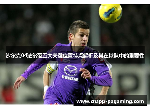 沙尔克04法尔范五大关键位置特点解析及其在球队中的重要性