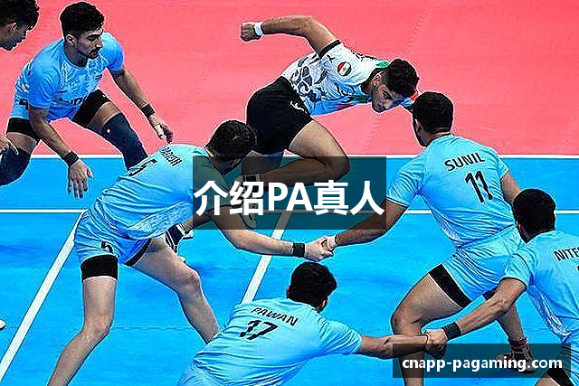介绍PA真人